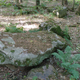 Una gran piedra sarsen en West Woods.